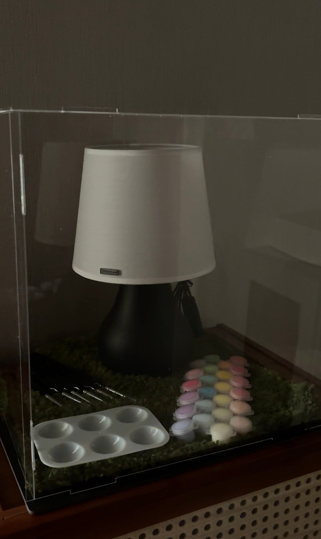 Art on the lampshade