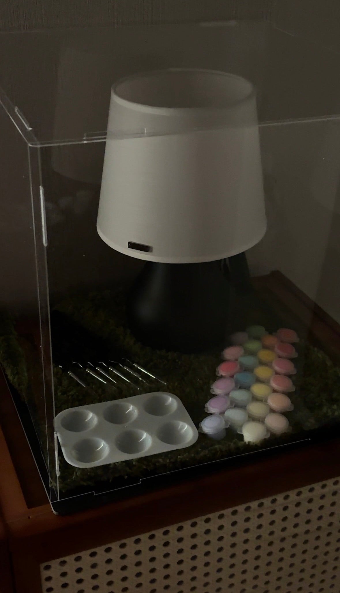 Art on the lampshade